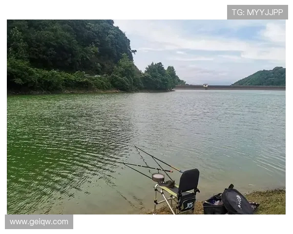 红树林钓鱼的 3 个暗码：99% 的人踩错潮汐与钓点